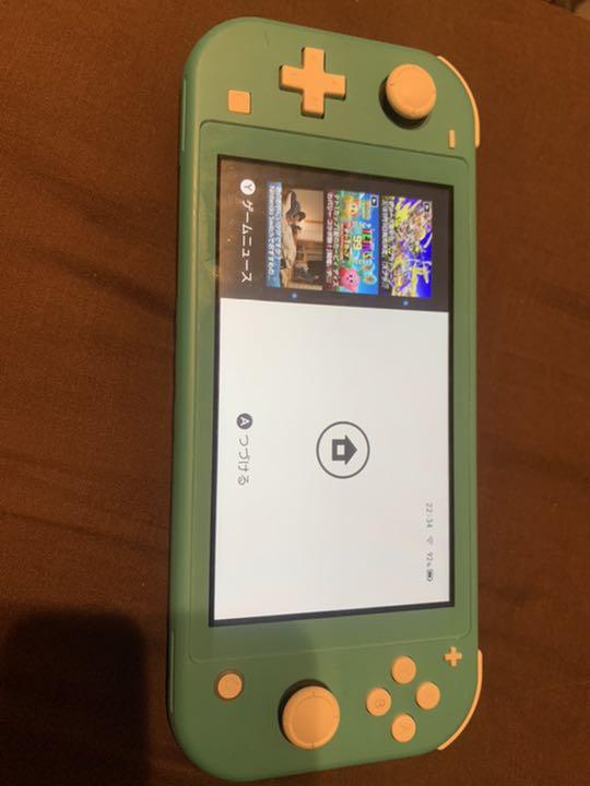 グリーン系夏セール開催中 MAX80%OFF! ニンテンドースイッチライト