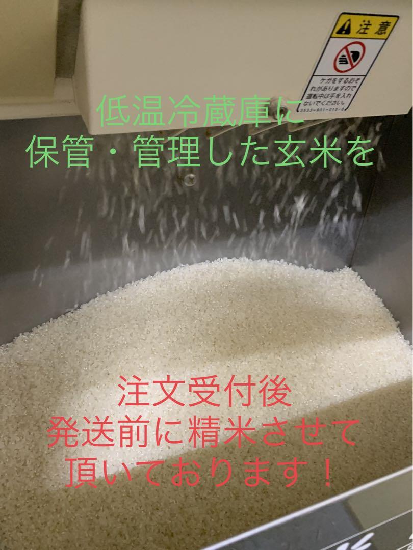 精米済み10キロ2袋　makiki様専用　新潟県産こしいぶき　特別栽培米　6年産