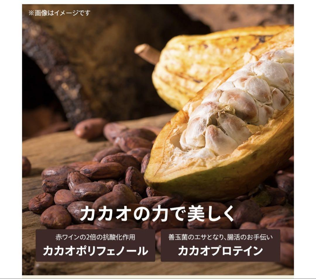 プレミアムビースリーダーク　10セット　サプリメント