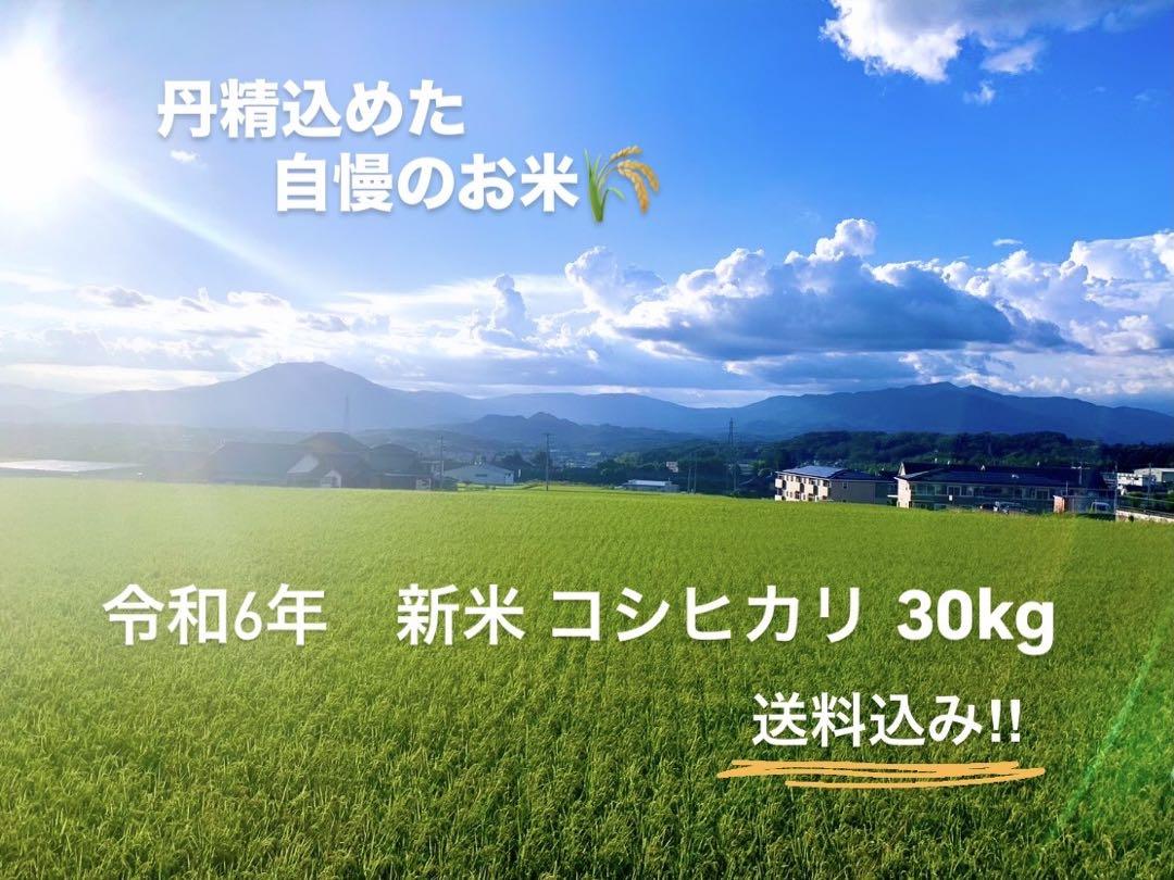 ⚠️購入厳禁【ワイルド様 専用です】農家直送 岐阜の美味しいお米(R6年新米) 画像1