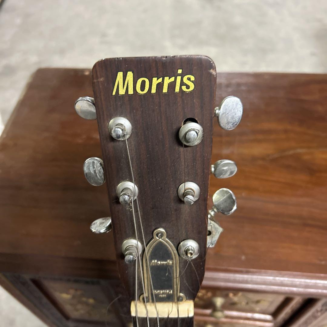 Morris アコースティックギター ナチュラルウッド