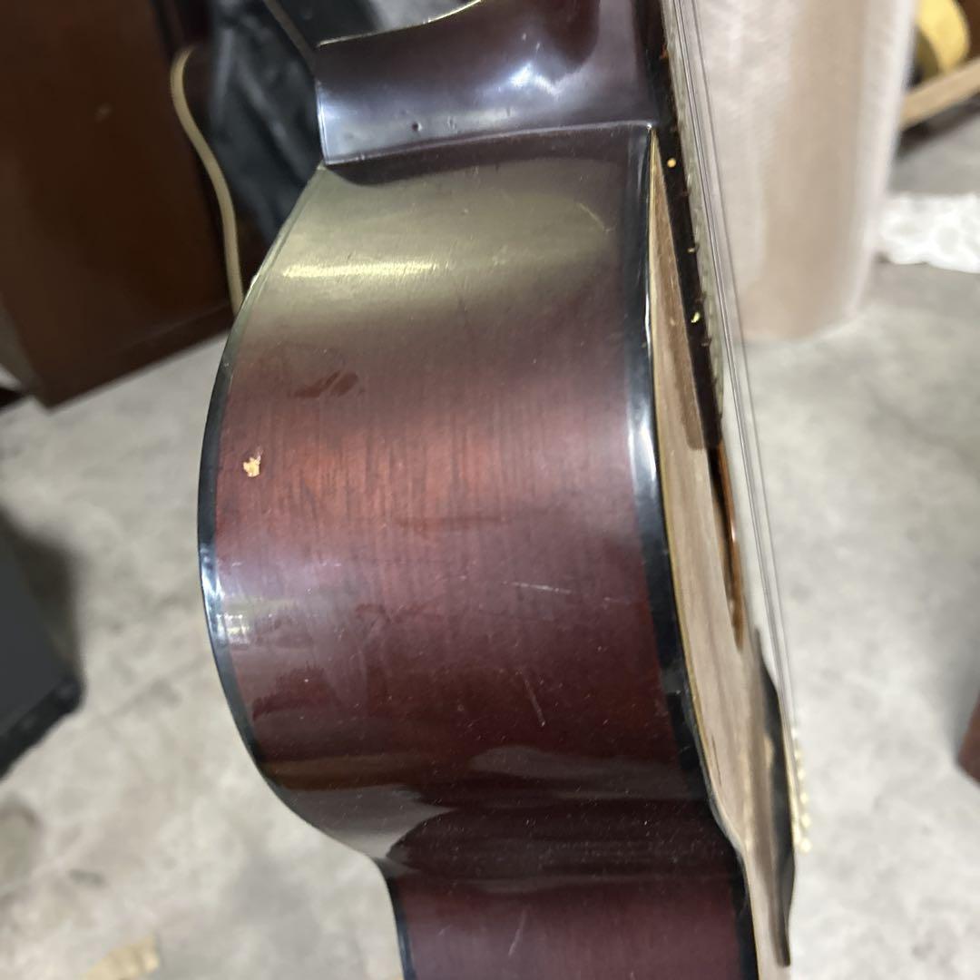 Morris アコースティックギター ナチュラルウッド