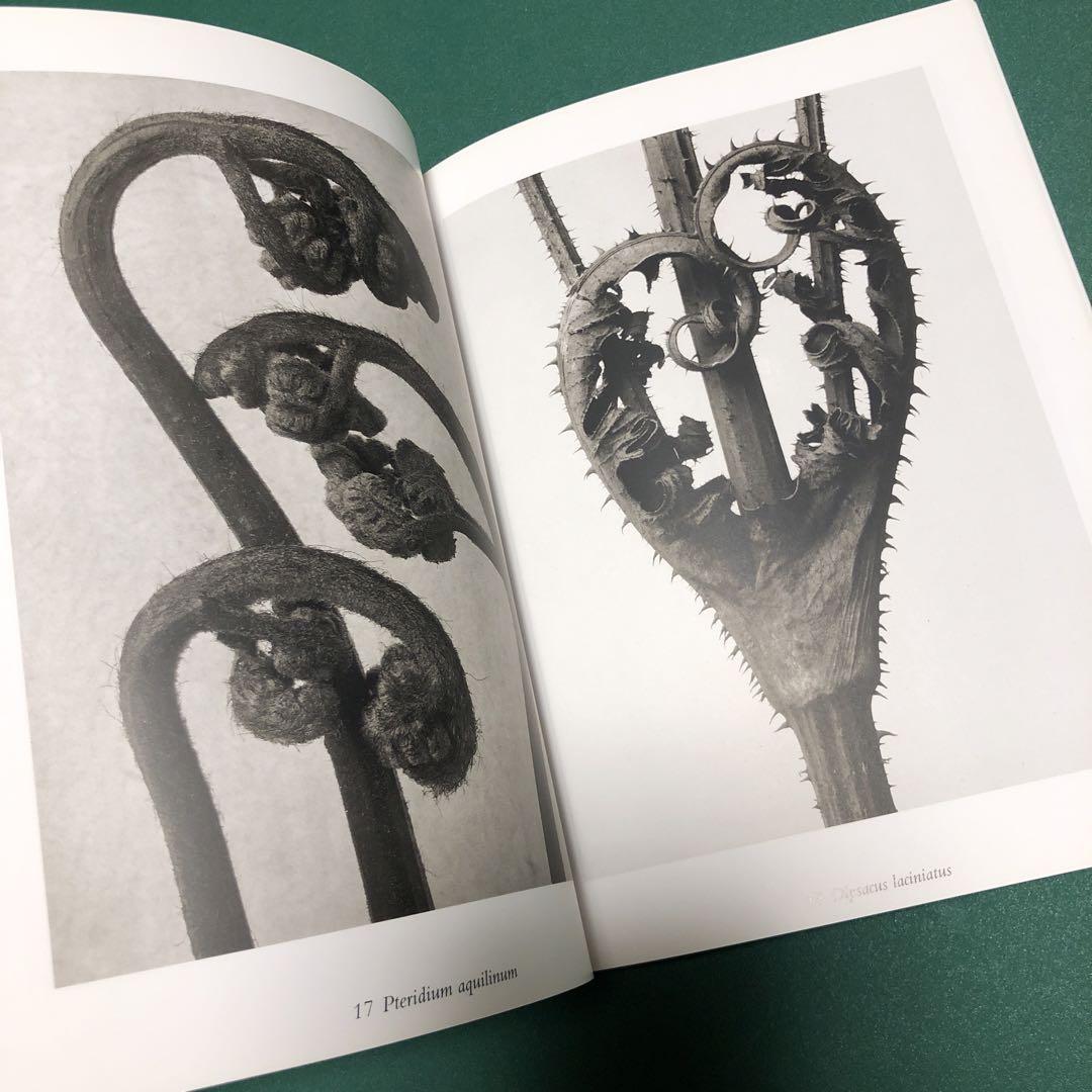 美品・希少本】The Alphabet of Plants【入手困難】 アート・デザイン・音楽