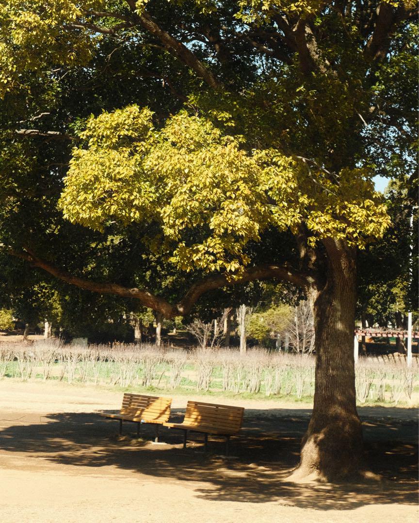 X-E4 FUJIFILM レンズキット 画像12