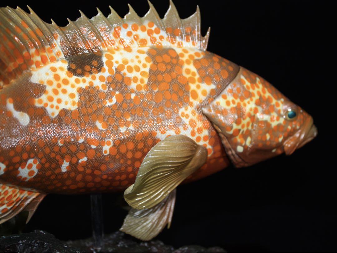 フィギュア 魚寸30cm