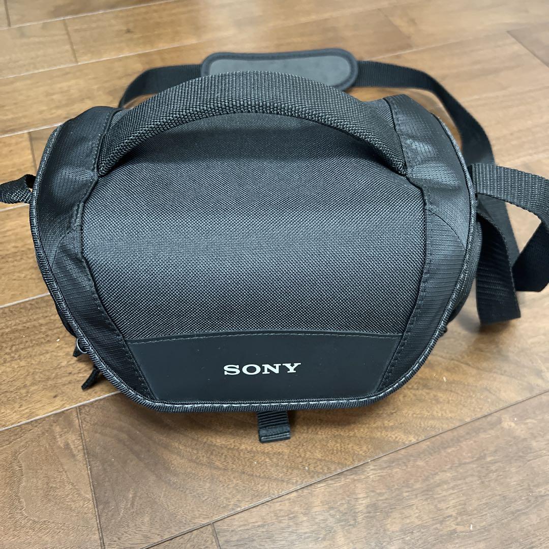 SONY FDR-AX45