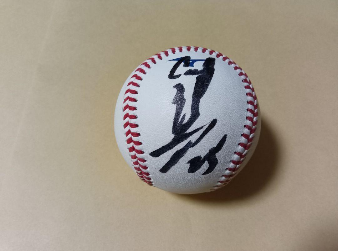広島東洋カープ　新井貴浩選手（現:監督）直筆サイン入りボール（NPB球） 新井貴浩 広島カープ 直筆サインボール NPB統一球 試合球 監督