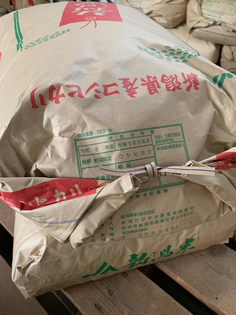 新米　新潟県産「コシヒカリ」　令和６年産　玄米20kg