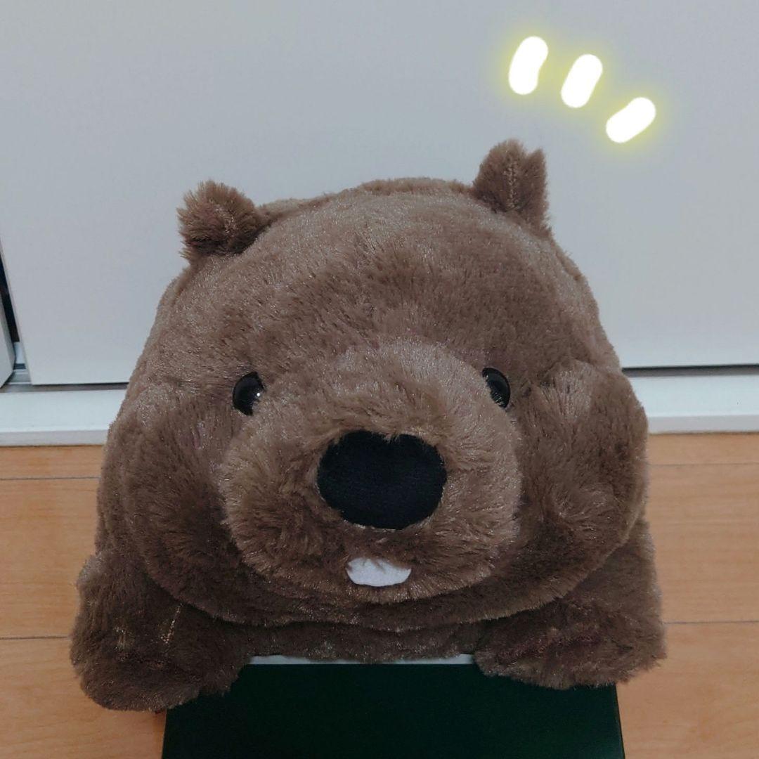 ずんぐりウォンピー　ウォンバット　ぬいぐるみ