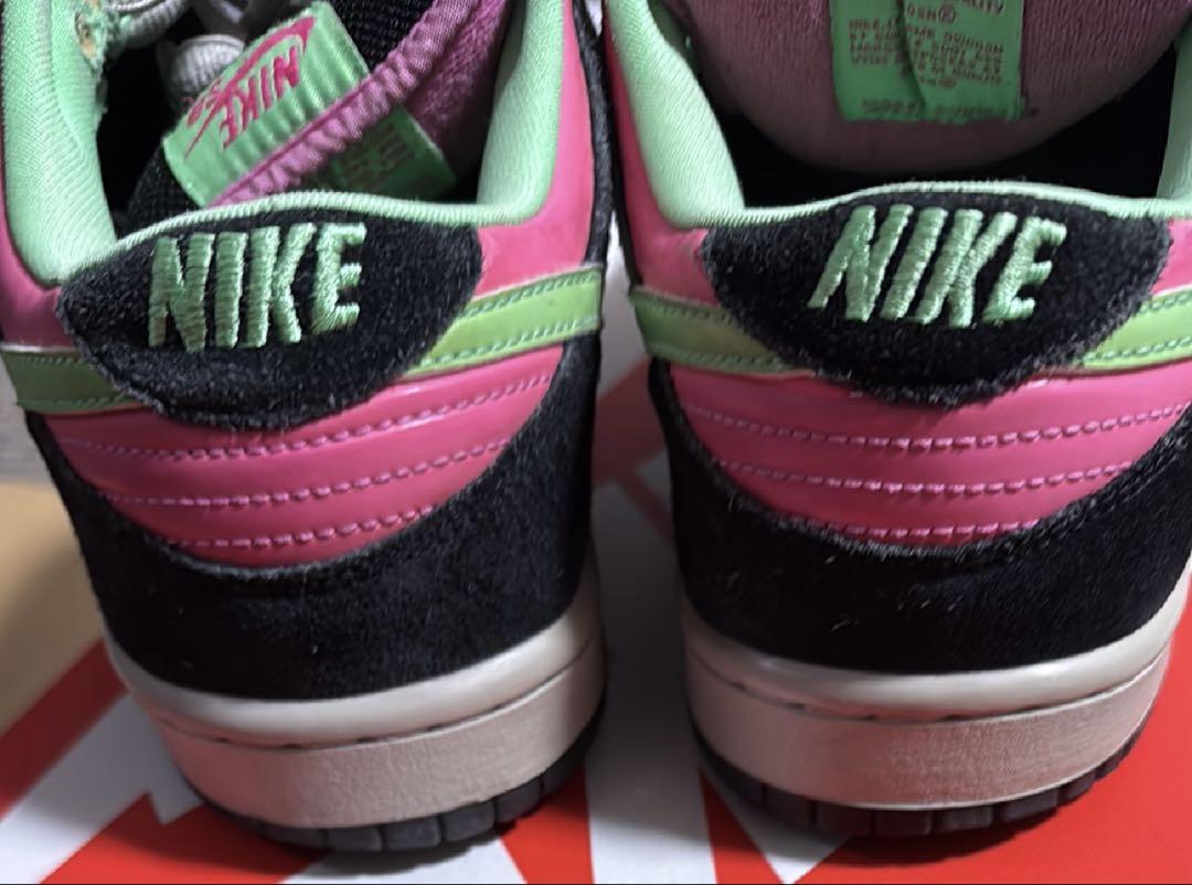 Nike dunk sb poison ナイキダンクSB ポイズン