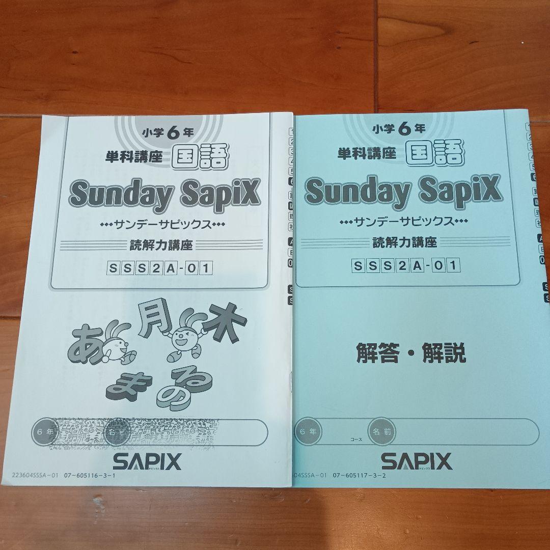 【2024受験】SAPIX 6年 国語 SS特訓 単科「読解力講座」全14回