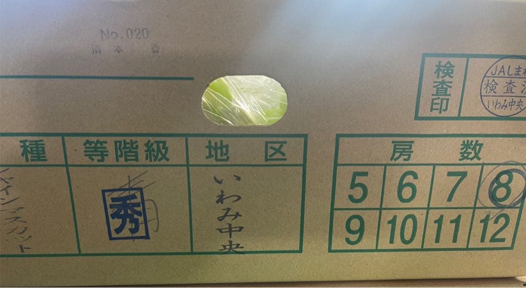 ⑧【島根県産】シャインマスカット約5キロ