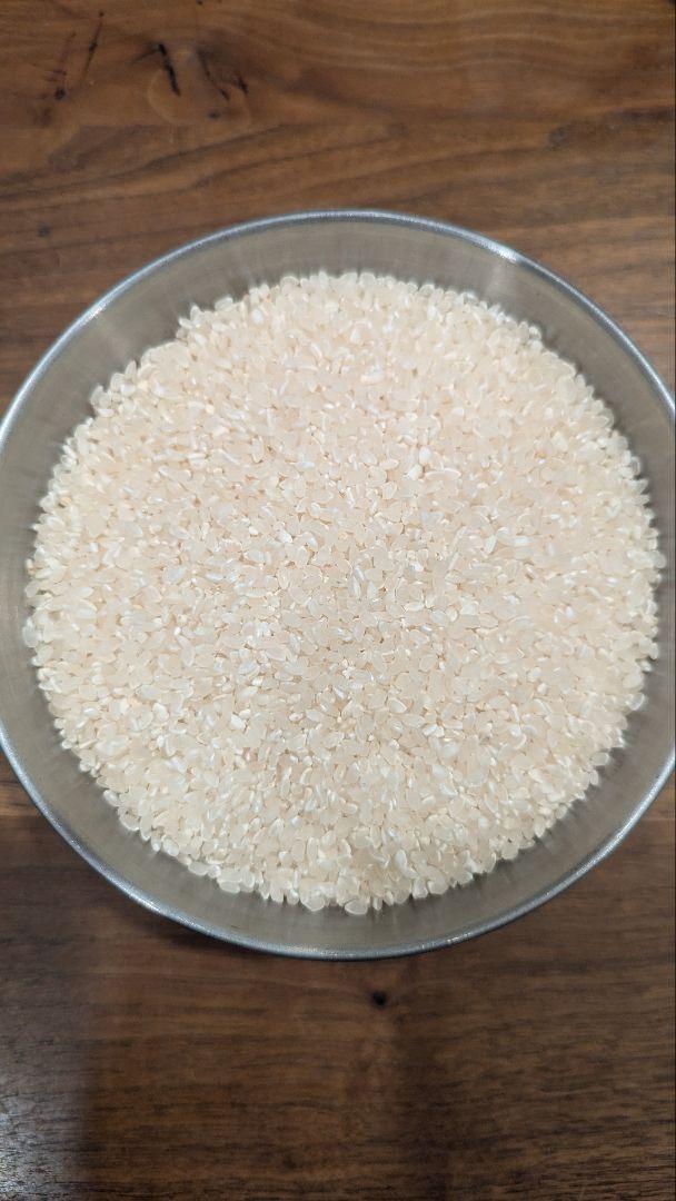 最後の1袋 令和6年産 肥料・農薬不使用  山形県産 ササニシキ 玄米 25kg