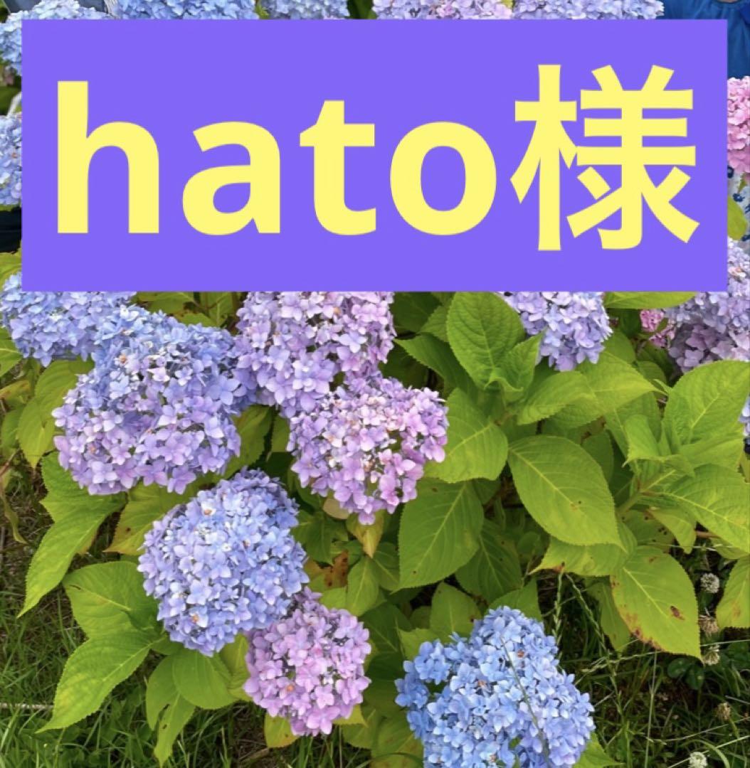 浜学園　小6 Sクラス　復テ