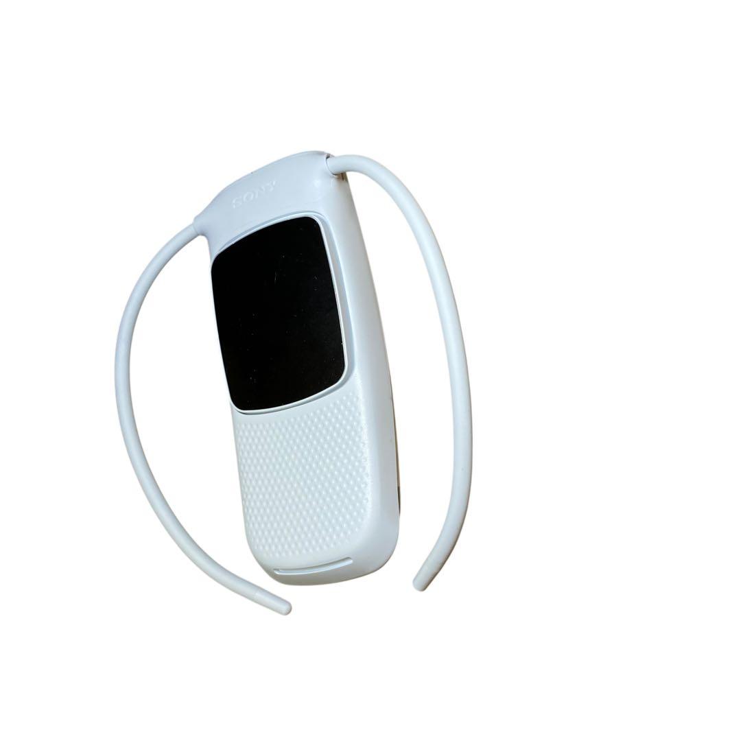 ソニー SONY レオンポケット5 REON POCKET5 MARWIL-DEMENAGEMENTS_CH