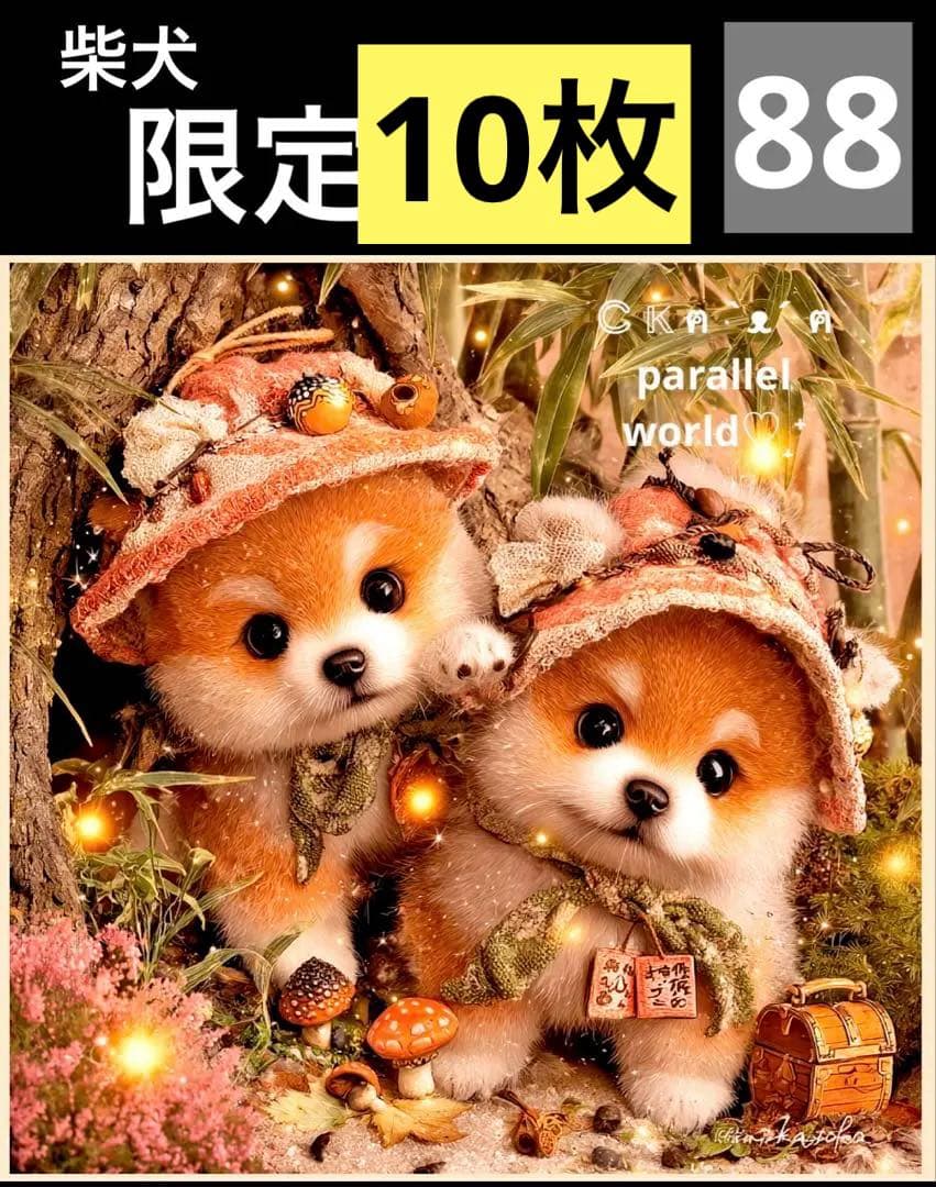 限定15枚　レアパネル生地　6柄セット　柴犬　犬パネル生地