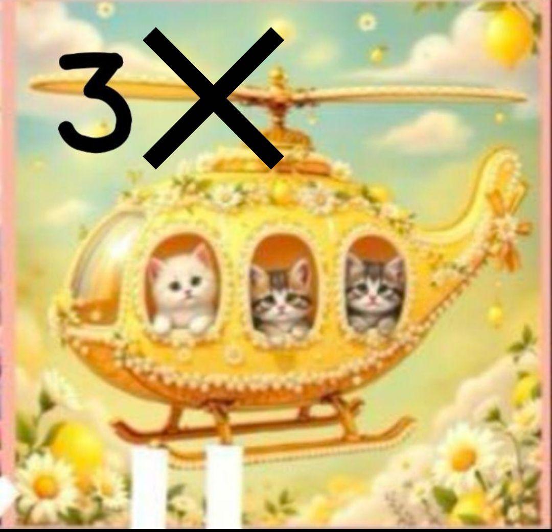 オーダー受付 猫 ヘリコプター 4/12