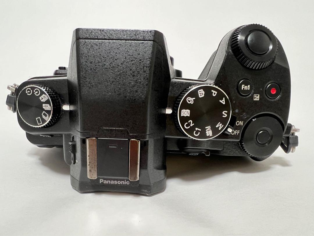Panasonic LUMIX DMC-G8 ミラーレス一眼カメラ