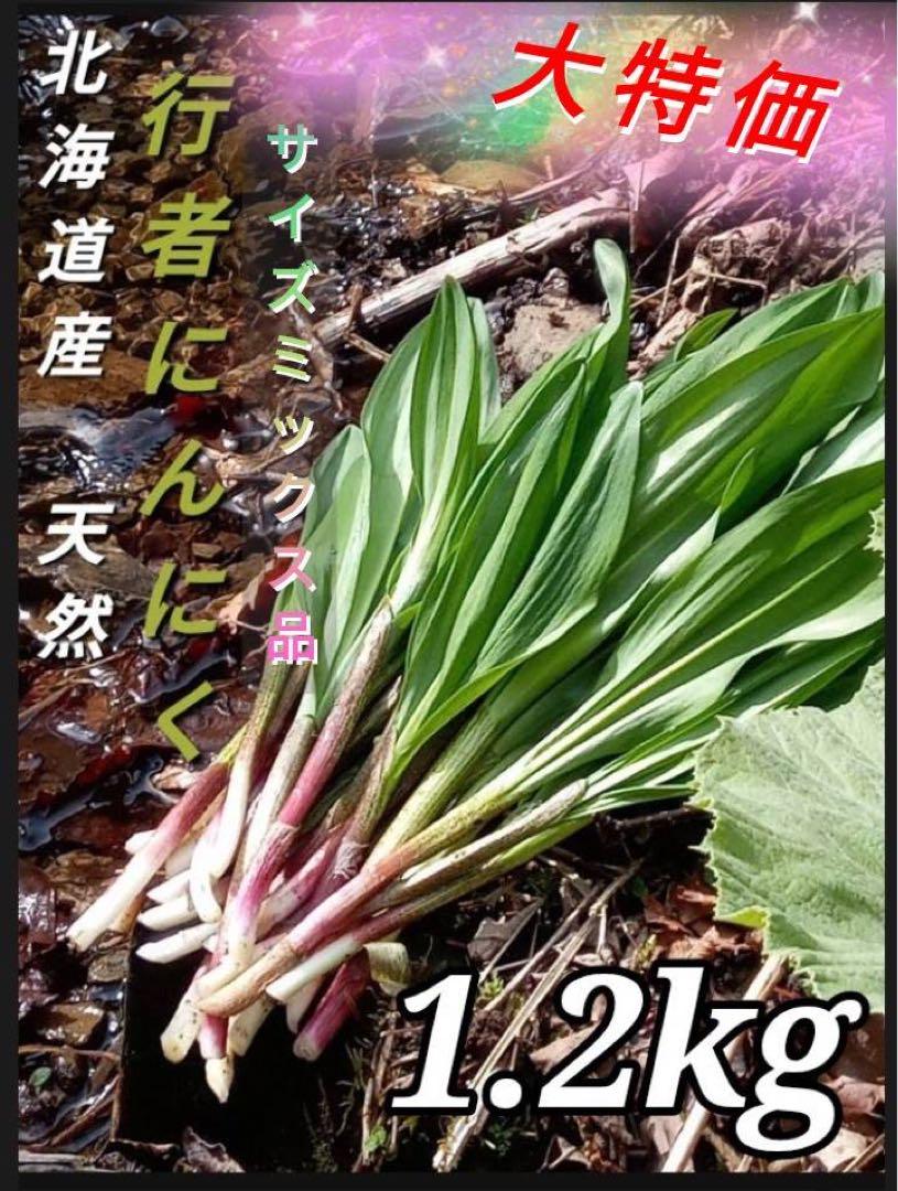 茎太め立ち葉のみ。良品。天然北海道産行者ニンニク。土付着殆ど無。午前中採取。 茎太め立ち葉のみ。北海道産天然行者ニンニク。良品。土付着殆ど