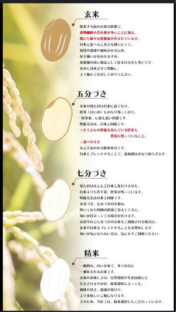 北海道産　お米＆玉ねぎのセット