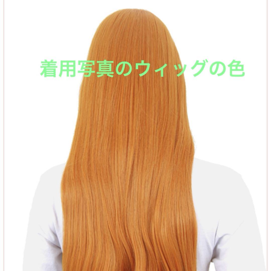 アナ コスプレ 衣装 ウィッグ付(未セット)