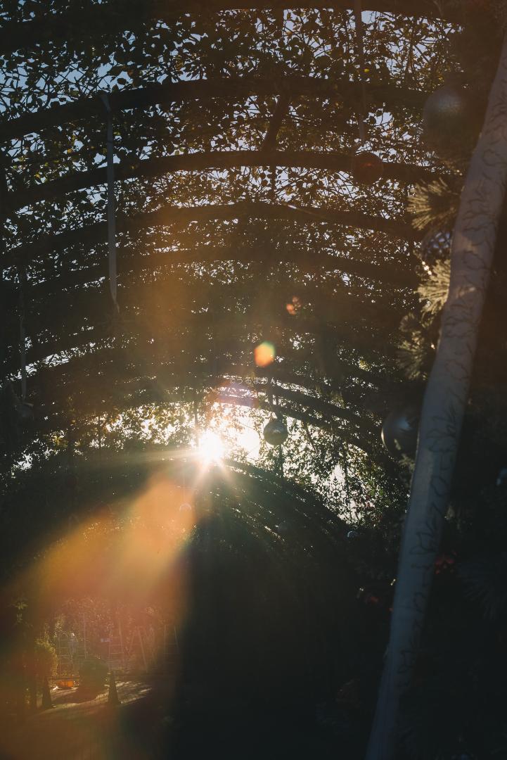 50mm