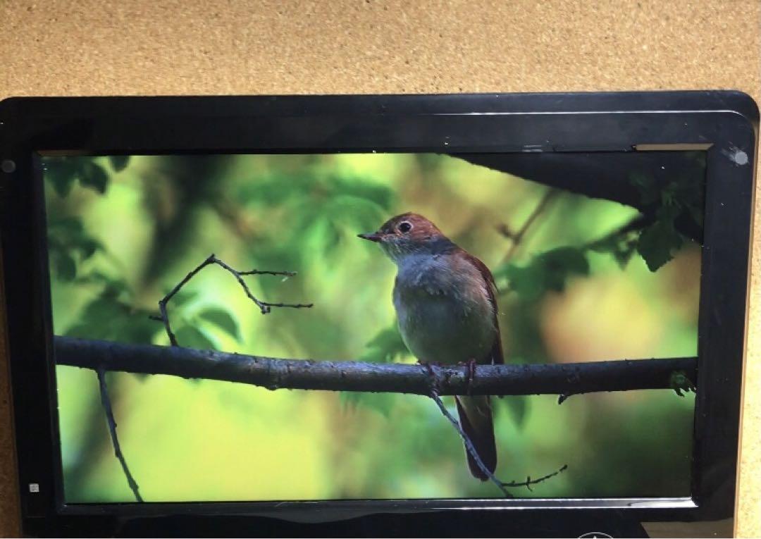高画質ポータブルDVD