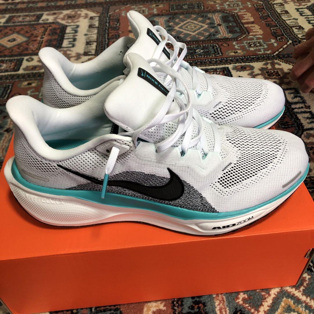 AIR  ZOOM. ペガサス41
