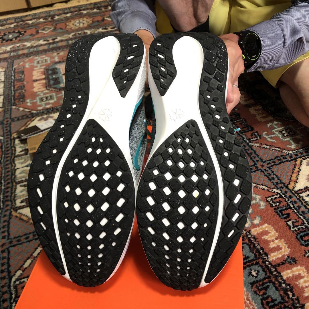 AIR  ZOOM. ペガサス41