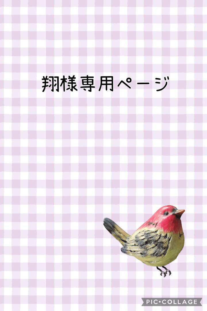 すとしょう様　オーダーページ 翔様専用オーダーページ イラスト