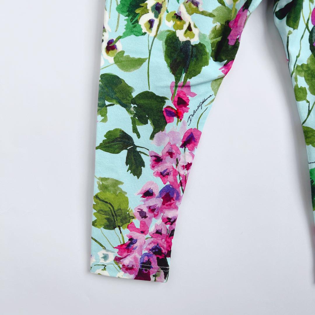 dolce -gabbana