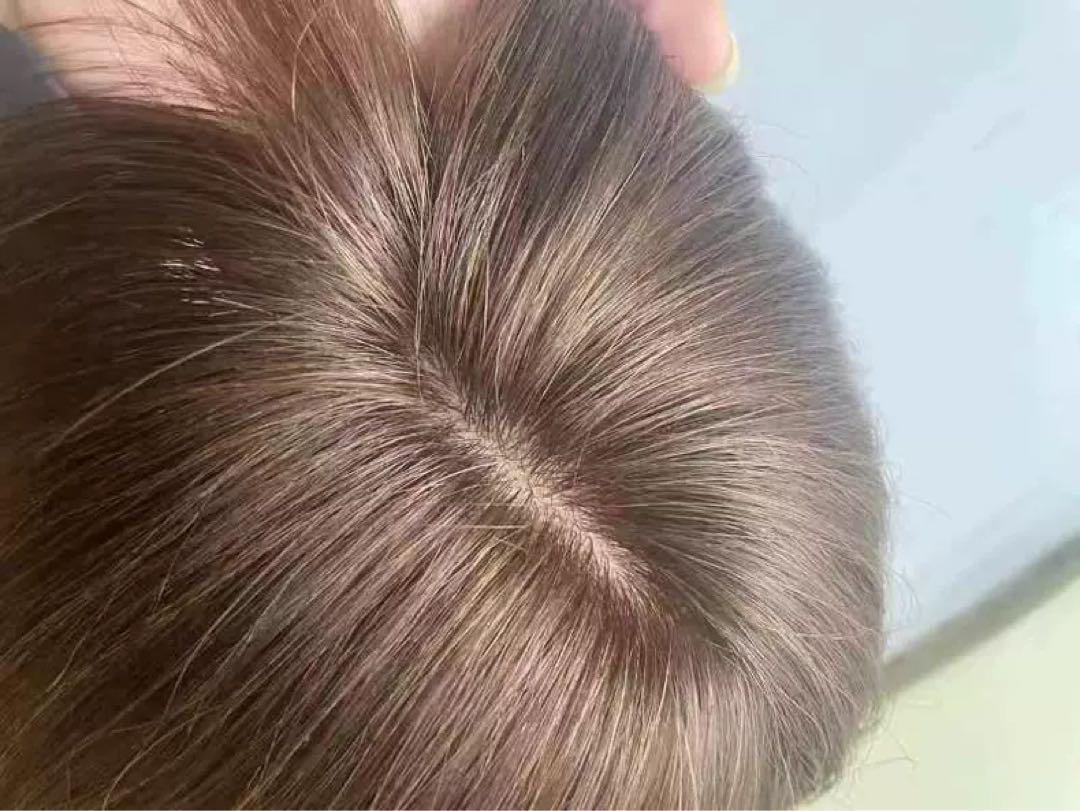 気品人毛100% ショートwig ウィッグ PT20