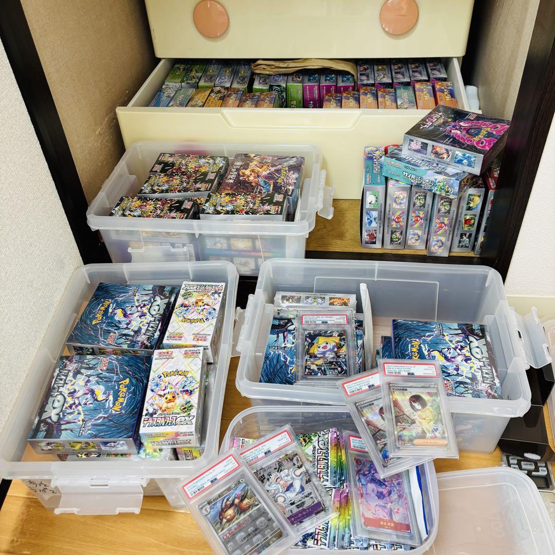(ポケセン産)テラスタルフェス