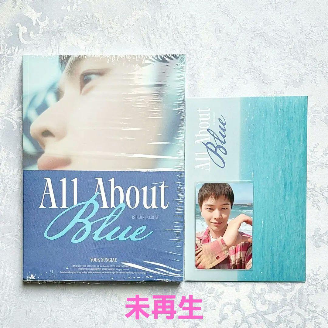 BTOB ソンジェ The Blue Journey MD セット ユク・ソンジェ (YOOK SUNGJAE/BTOB) ソロファーストミニ