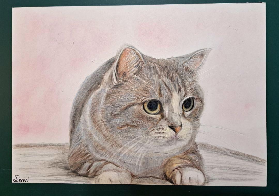 色鉛筆画 A4.猫 クリスマス4 色鉛筆画 A4.猫 クリスマス 絵画 - 絵画