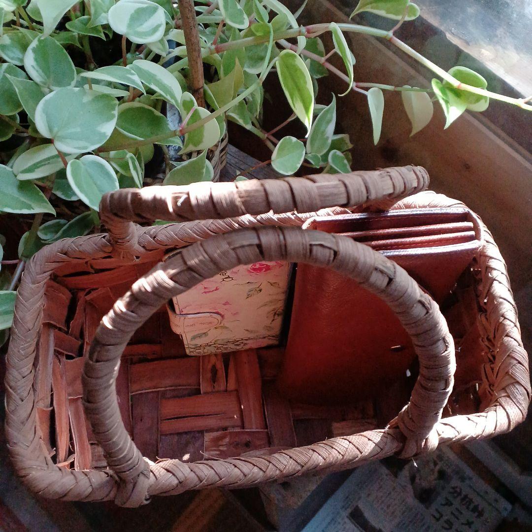 太ひご新品、♥