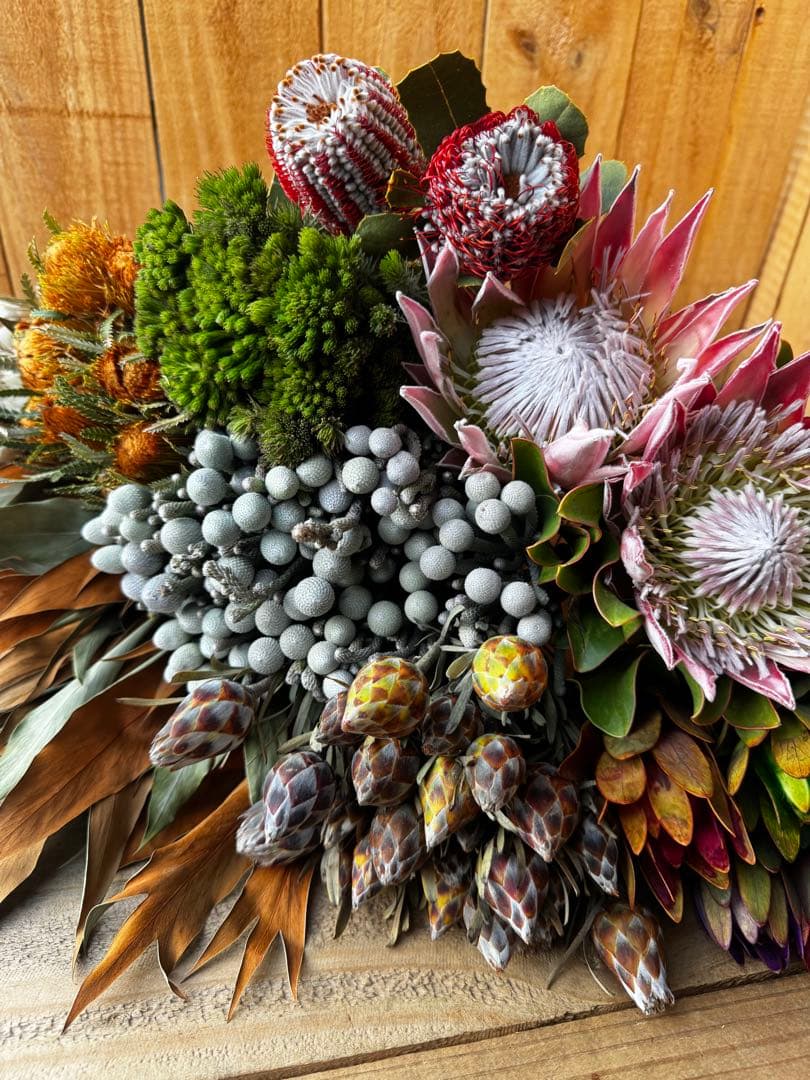 グレビリア バンクシア