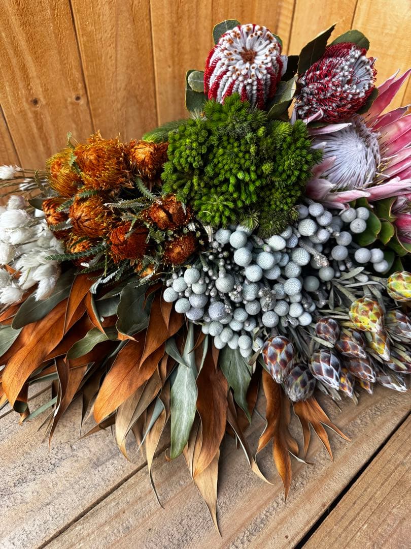 ネイティブ プロテア