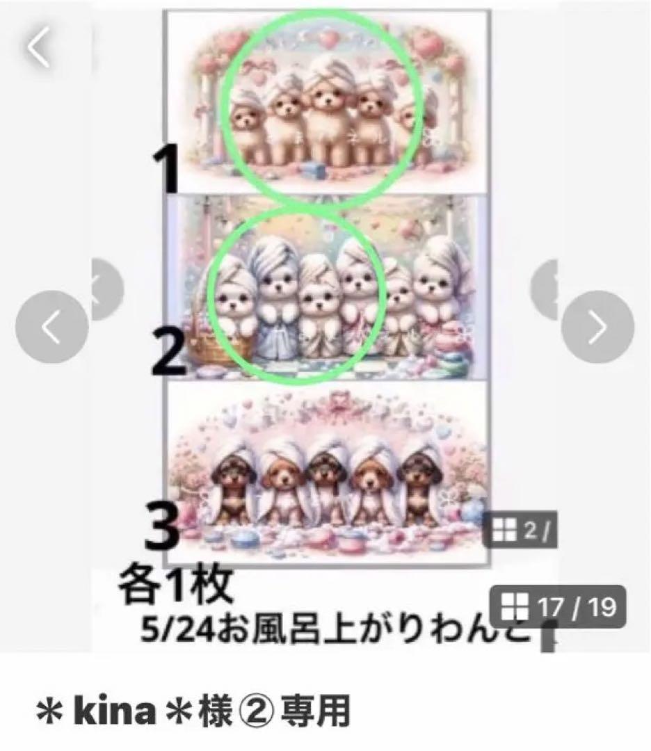 ＊kina＊様③専用