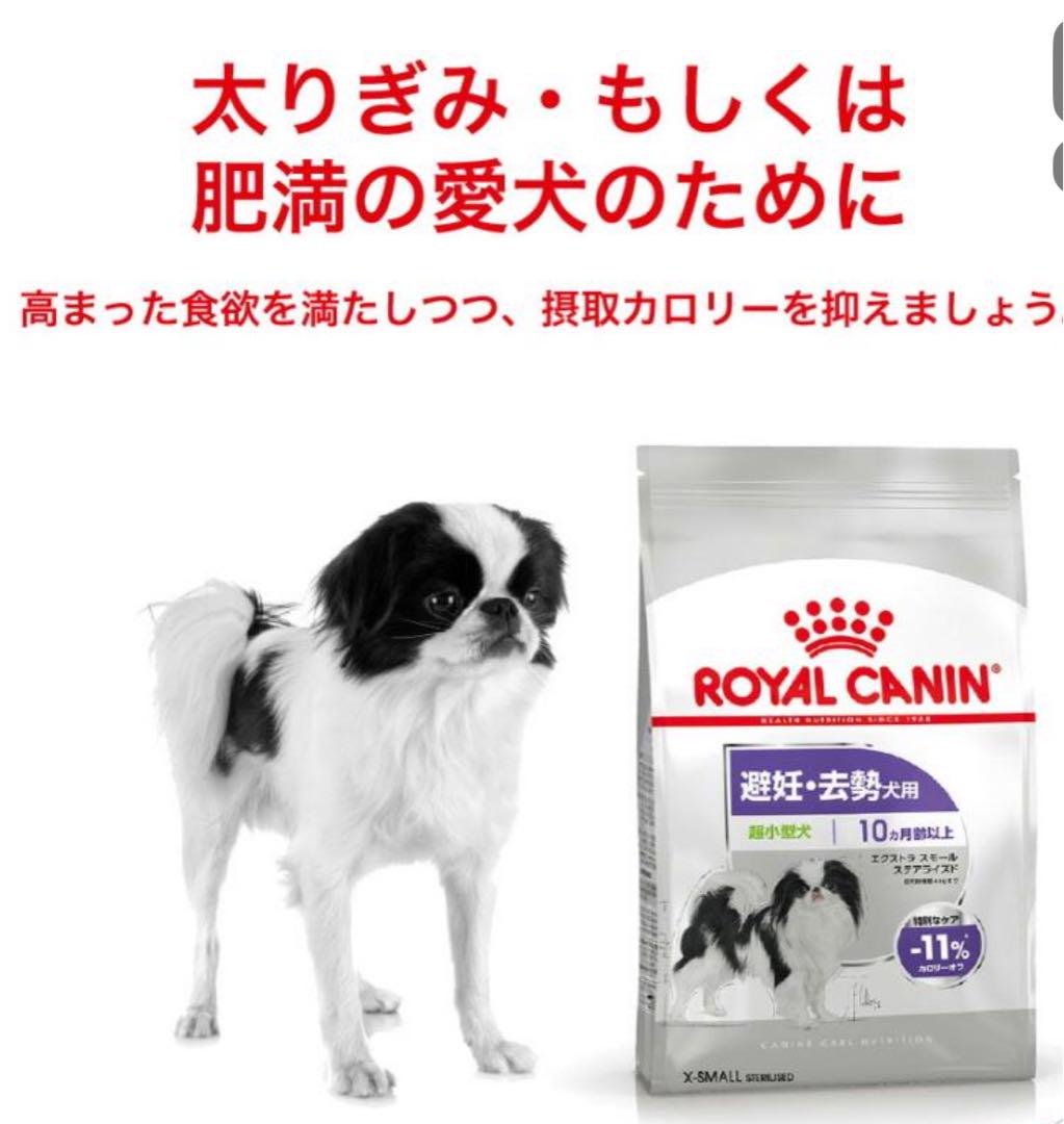 ロイヤルカナン　エクストラスモールステアライズド1.５kg✖️6袋