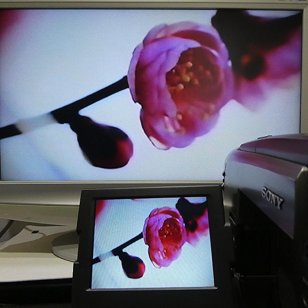 動作良好 Video.Hi8ソニー CCD-TRV90 高画質8ミリビデオカメラ