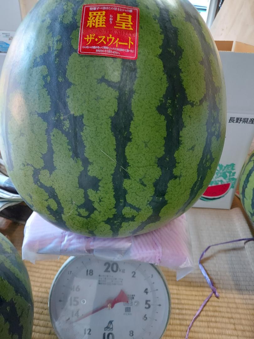 羅皇 ザ・スイート スイカ 約13.4kg