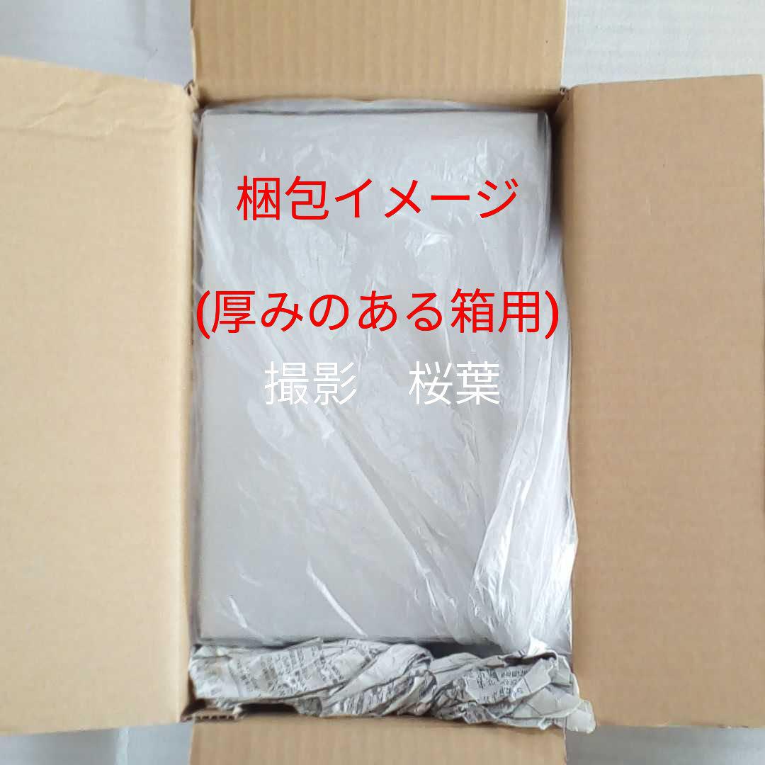 mg クロスボーンガンダムx2 新品 未組立 内袋未開封 ガンプラ mg クロスボーンガンダムx2 新品 未組立 内袋未開封 ガンプラ