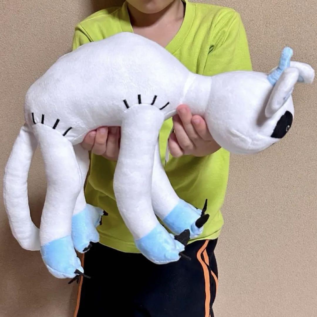 PoP　ぬいぐるみ/コースター popup zb1 zeroni ぬいぐるみ バンド パクゴヌク ゴニニ - メルカリ