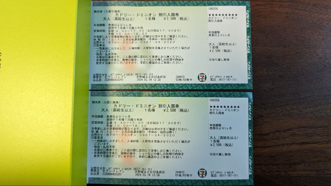 カドリードミニオン　チケット2枚