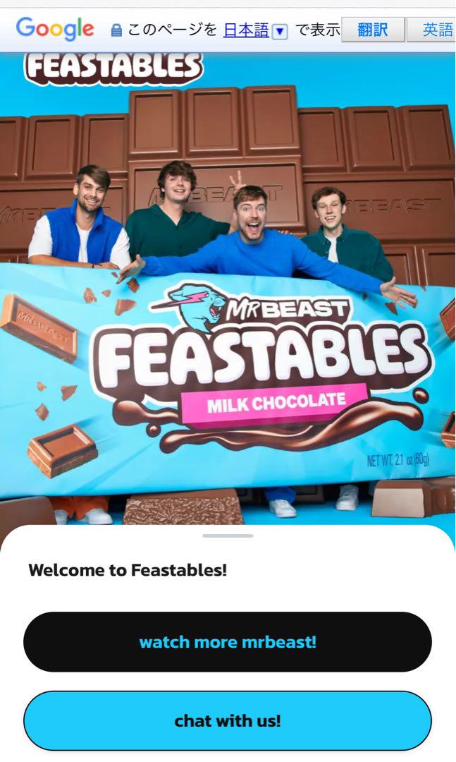 即発送 12個 フィースタブルズ チョコ ミスタービースト Mr.Beast 即発送 フィースタブルズ チョコ ミスタービースト Mr.Beast 12