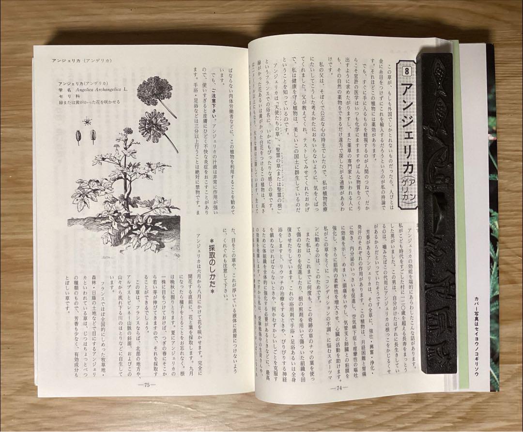 「メッセゲ氏の薬草療法」