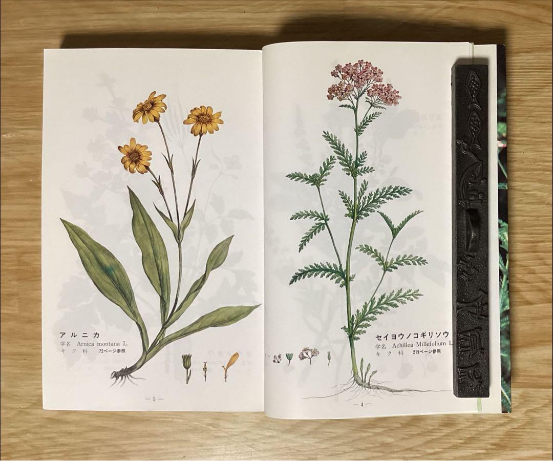 「メッセゲ氏の薬草療法」