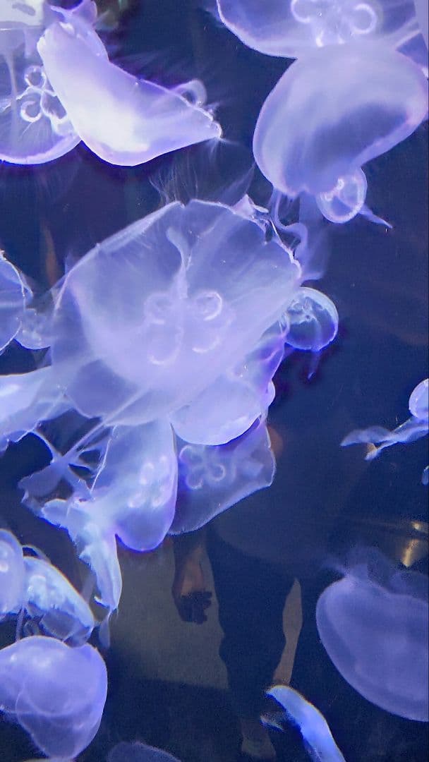 moon mom様専用ページ