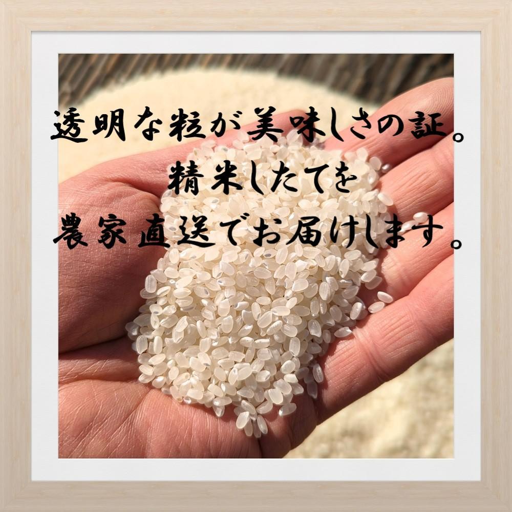 豊かな自然に育まれた純度100%コシヒカリ。蔵出し直送。10キロ無洗米